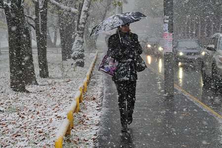 Синоптики предупредили о сильном снегопаде в Москве в ночь на 15 января
