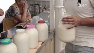 На Тернопільщині забороняють продавати домашні молочні продукти (відео)