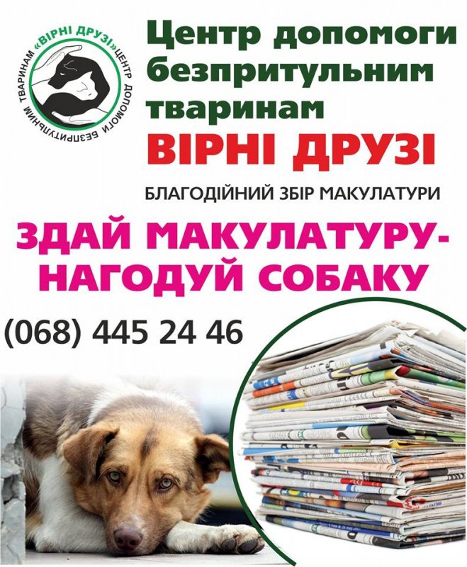 У Тернополі придумали цікавий спосіб збору коштів для безпритульних тварин (фото)