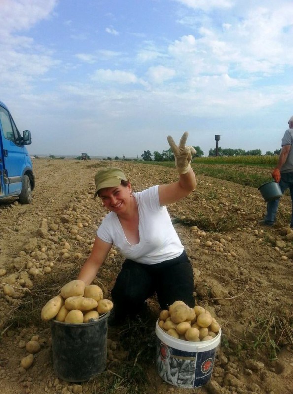 Відома тернопільська співачка продає елітну картоплю (фото)