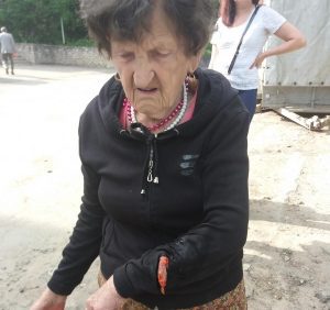 У Тернополі собаки розірвали старенькій бабусі руку (ФОТО)