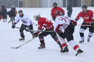 У Тернопільському хокей-фесті взяло участь 18 команд