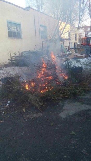 Порушення у Тернополі: люди спалюють ялинки прямо біля будинків (ФОТО)