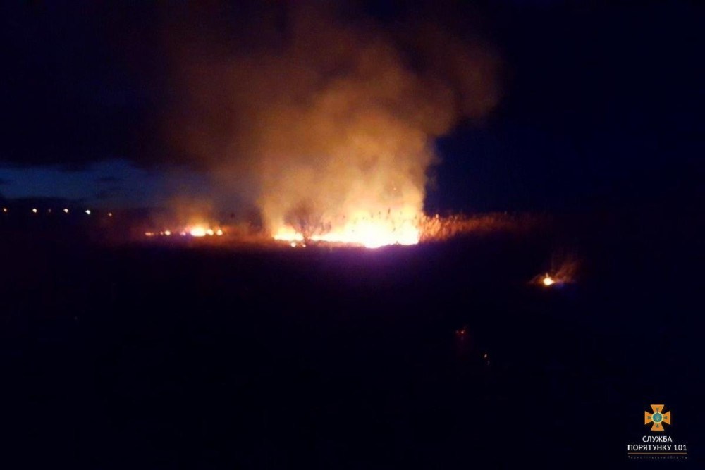 Масштабна пожежа біля Тернополя: пожежники прокоментували масштабний підпал очерету (ФОТО)