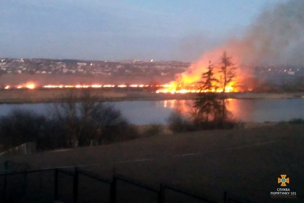 Масштабна пожежа біля Тернополя: пожежники прокоментували масштабний підпал очерету (ФОТО)