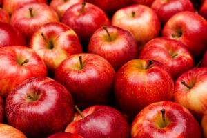 Продовжують падати ціни на яблука