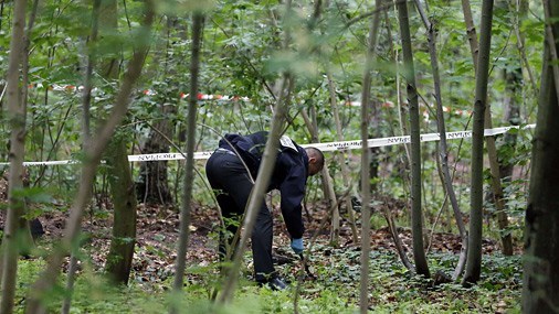 Біля Тернополя на узбіччі лісу знайшли скелет чоловіка