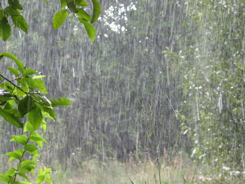 На Тернопільщині прогнозують сильні дощі та зливи
