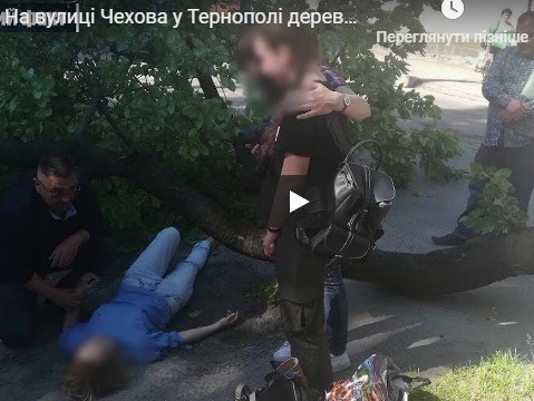 У Тернополі дерево впало на людину: жінку забрали у лікарню (ВІДЕО)