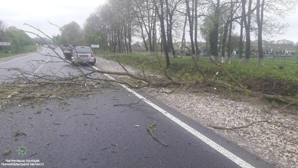 Негода на Тернопільщині: дерева падають на дорогу і перекривають рух (ФОТО)