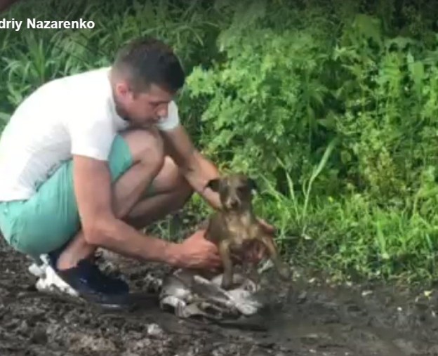 На Тернопільщині нелюди залишили цуценя помирати в мішку в болоті (ВІДЕО)