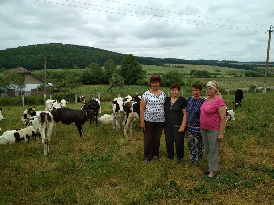 Історія успіху: фермери з Тернопільщини щоденно отримують понад 20 літрів молока від кожної із 205 дійних корів (ФОТО)
