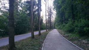 Навколо західної частини Тернопільського ставу споруджують велосипедні доріжки