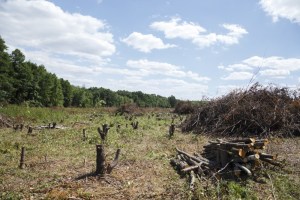 Підприємство Івана Чайківського допомагає людям повернути їхні паї