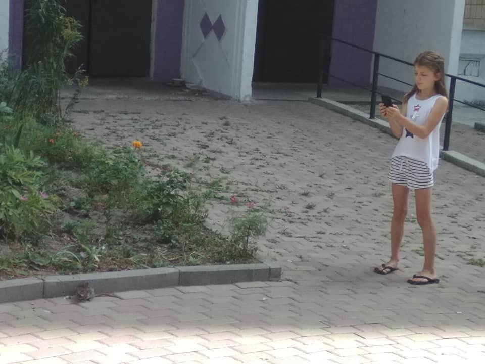 “Друзі для селфі”: у Тернополі діти фотографують щурів, які вилазять із відкритих смітників (ФОТОФАКТ)