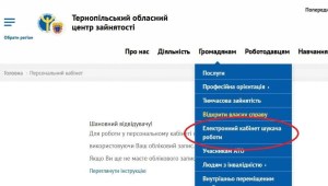 Понад 800 тернополян скористалися електронного пошуку роботи