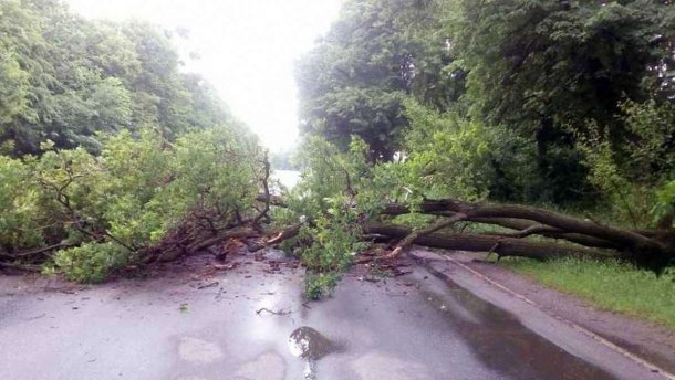 Сильні пориви вітру: в Україні оголосили штормове попередження. Де чекати негоду