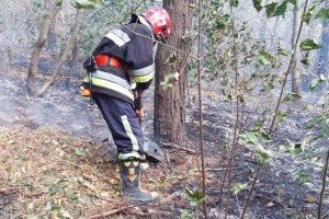 На Тернопільщині оголосили надзвичайний рівень пожежної небезпеки