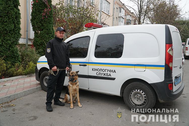 У Тернополі злочинці побили вікна та погрожували зброєю жінці (ФОТО)