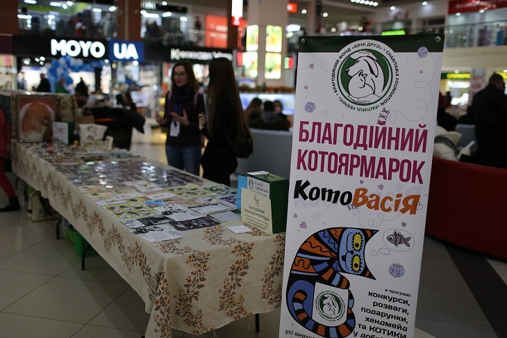 У Тернополі вперше організували благодійний “котоярмарок” (ФОТО)