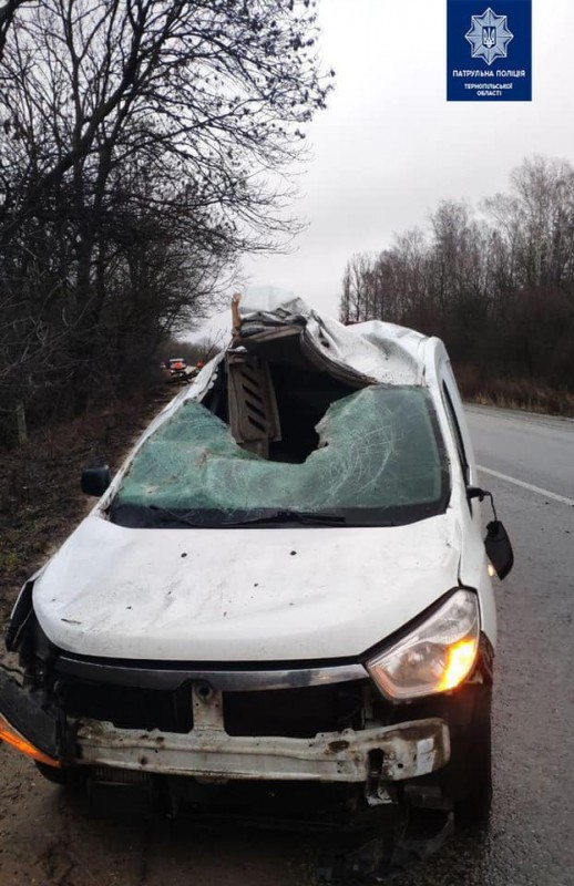 На Тернопільщині під час руху на автівки впало дерево (ФОТО)