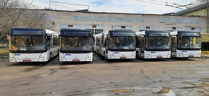 До Тернополя прибув перший десяток новеньких автобусів з Білорусі (ФОТО, ВІДЕО)