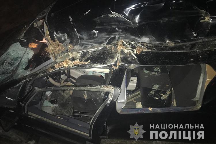 На Тернопільщині водій не помітив причіп КамАзу на дорозі і протаранив його: є потерпілі (ФОТО)