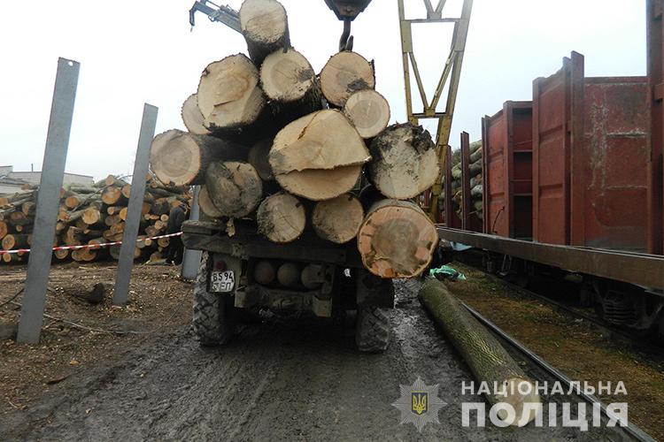 Нещасний випадок на Тернопільщині: чоловік загинув від падіння дерев’яної колоди (ФОТО)
