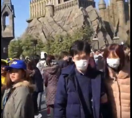 Тернополянка боїться повертатися з Японії через протести людей (ВІДЕО)