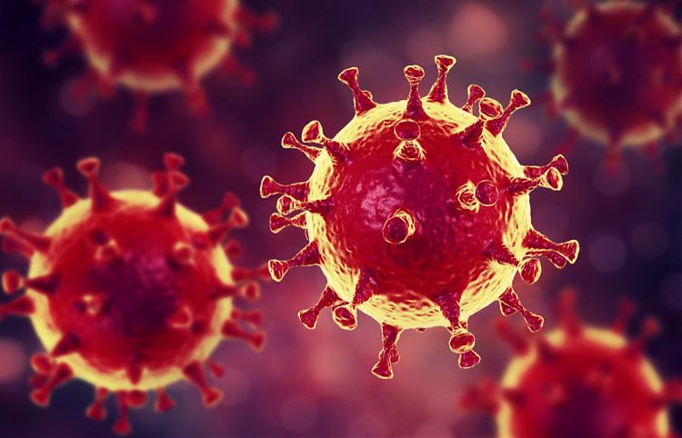 В Україні 156 випадків коронавірусної хвороби: “лідирують” Чернівецька та Київські області