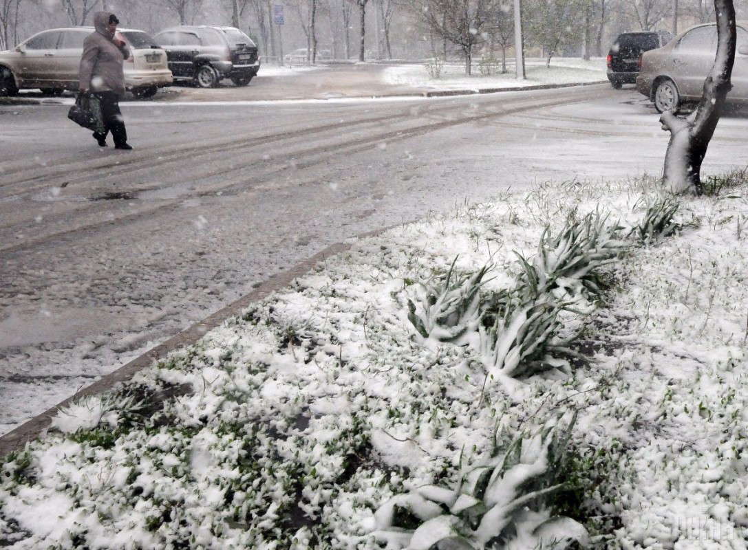 Суттєве зниження температури: на Тернопільщині передбачають мокрий сніг і заморозки