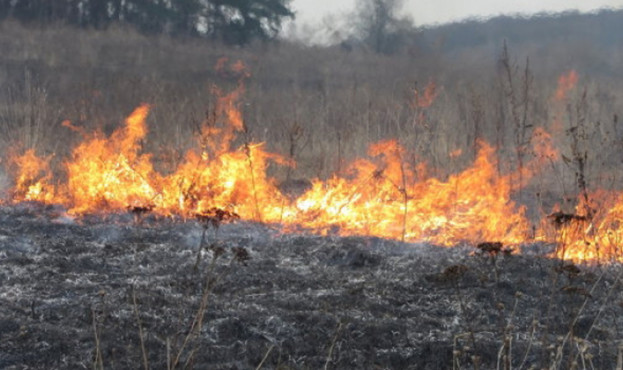 Жахлива смерть: на Тернопільщині у траві знайшли тіло обгорілого чоловіка