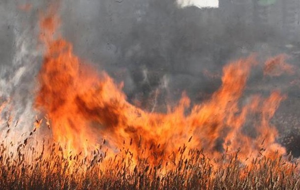 Нещастя на Тернопільщині: жінка згоріла разом із сухим листям