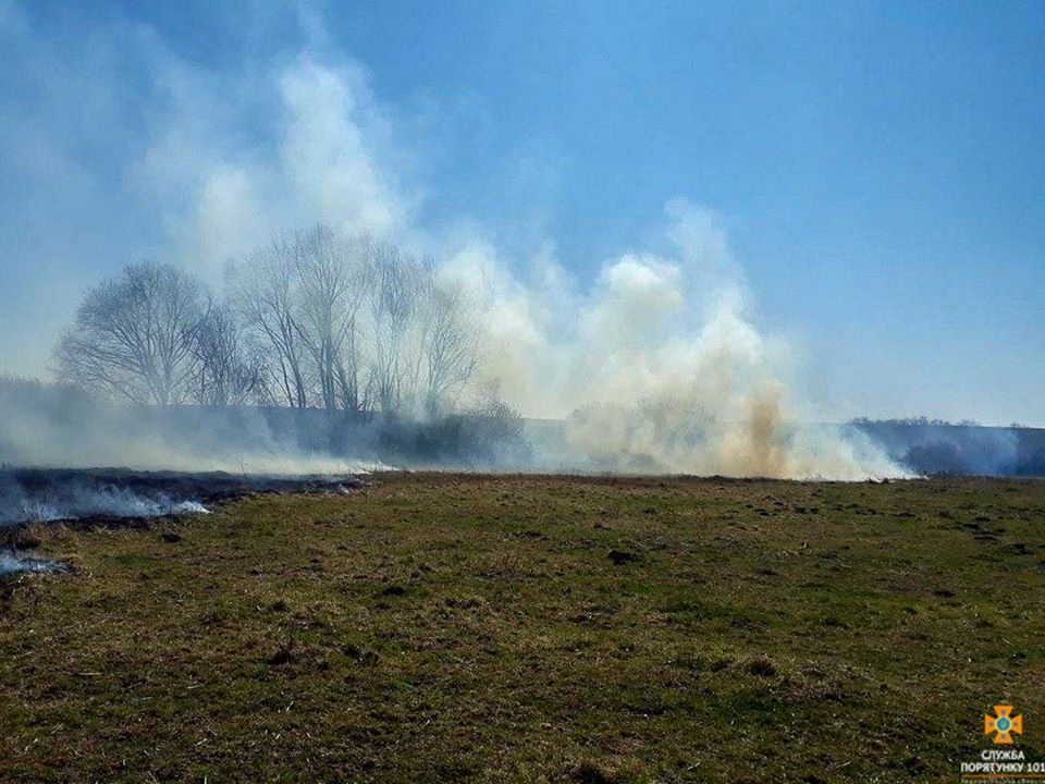 Люди, схаменіться: на Тернопільщині за добу 35 пожеж сухої трави (ФОТО)