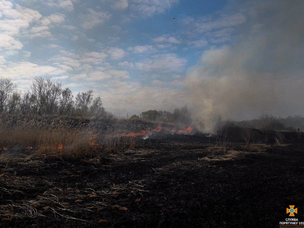 На Тернопільщині 4 години гасили пожежу: горіла суха трава (ФОТО)