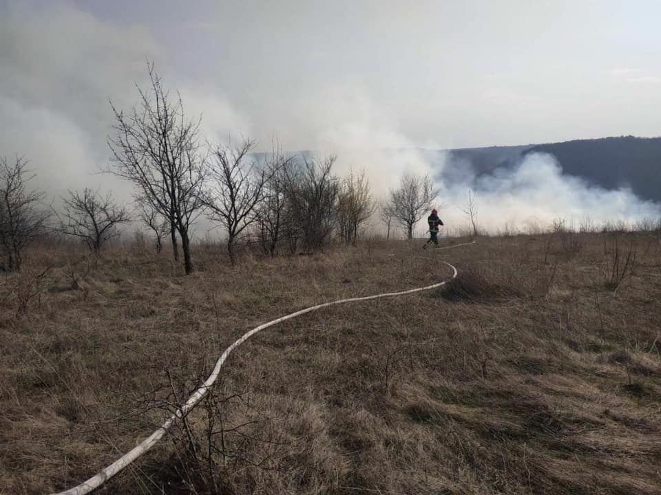 На Тернопільщині 4 години гасили пожежу: горіла суха трава (ФОТО)