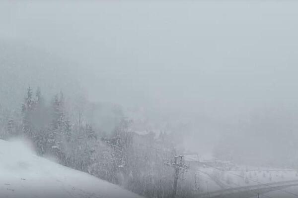 Українські Карпати засипало снігом. Підбірка фото та відео