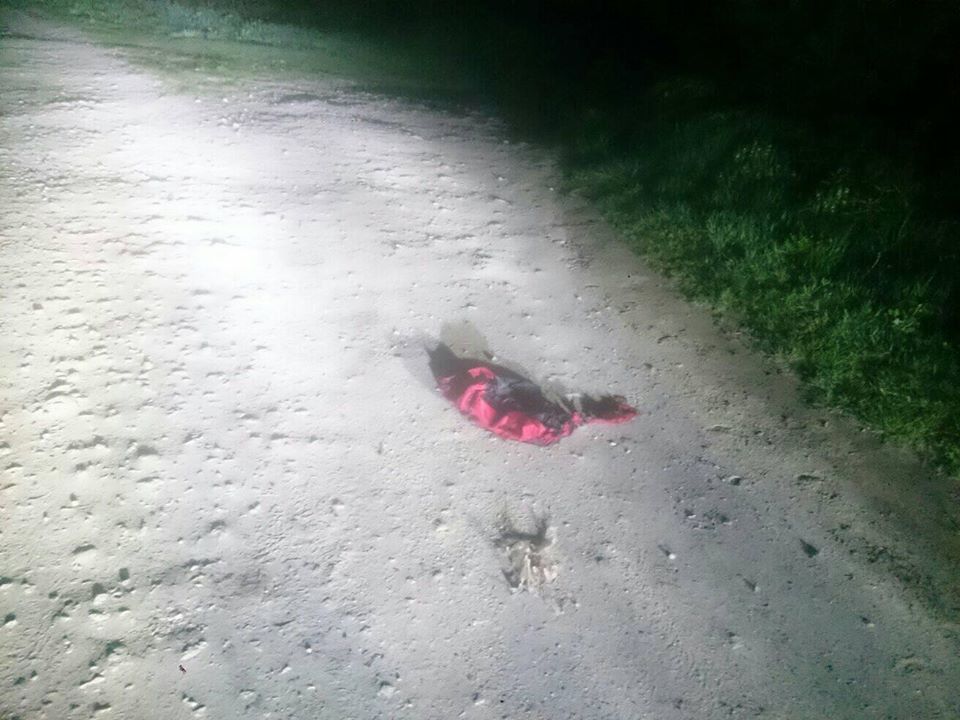 На Тернопільщині розшукують людину, яка зірвала та спалила прапор (ФОТО)