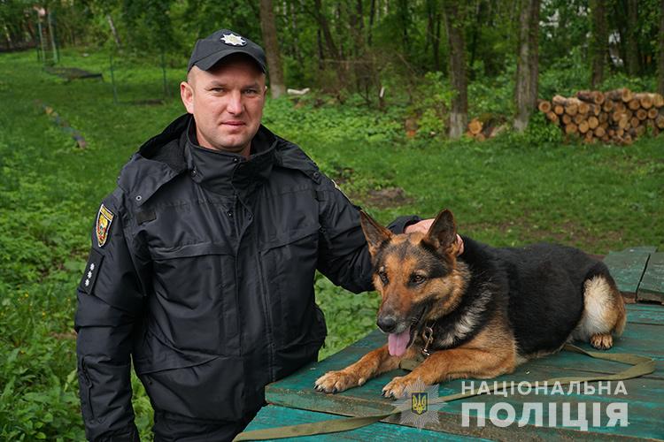 Як у Тернополі пес спіймав злочинця (ФОТО, ВІДЕО)