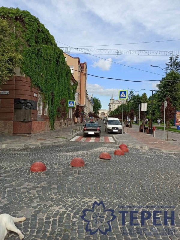 Таксист поїхав “проти шерсті”: у центрі Тернополя ледь не дійшло до самосуду (ФОТО)