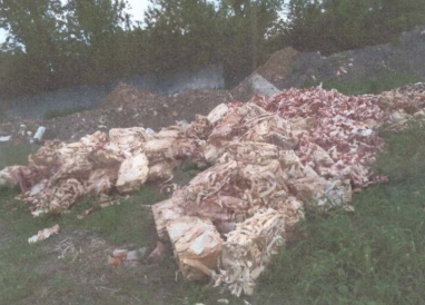 На Тернопільщині підприємець зробив стихійне звалище решток тварин (ФОТО)