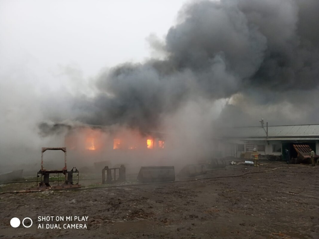 На Тернопільщині масштабна пожежа на підприємстві, де вирощували гриби (ФОТО)