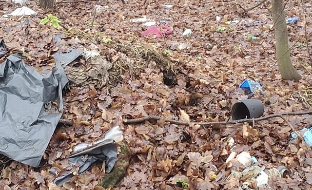 “Ліс не смітник”: на Тернопільщині люди знищують природу (ФОТО)