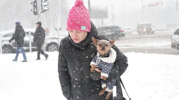 Сильний вітер, сніг і мороз: на Тернопільщині оголосили штормове попередження