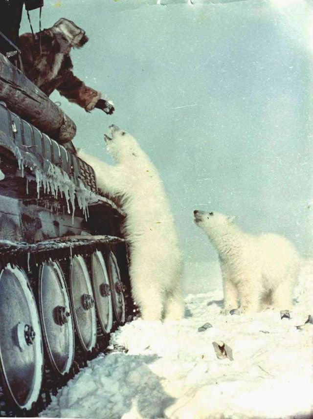 Радянські солдати в Арктиці