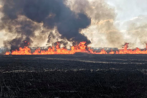 “Знову усе горить, дихати немає чим”: в Україні масово почали палити суху траву й очерет (ВІДЕО)