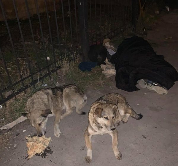 “Її нема кому оплакувати”: у Тернополі жінка померла просто на вулиці (ФОТО)