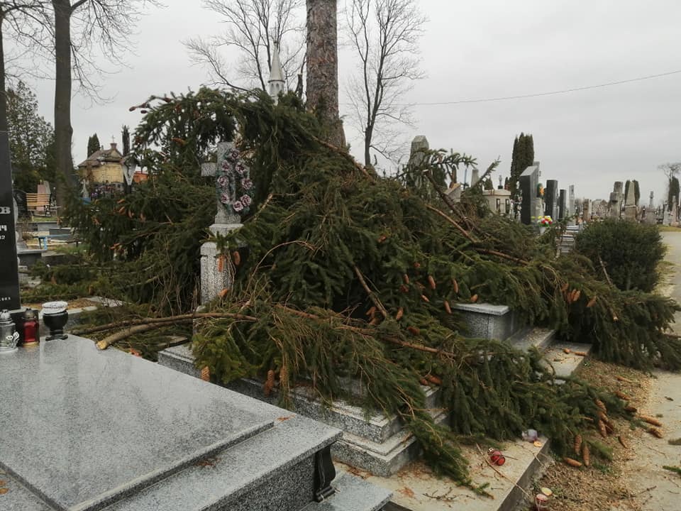 На Тернопільщині працівники комунальних служб пошкодили могили на цвинтарі (ФОТО)