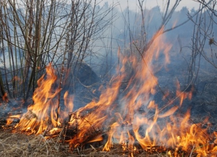 На Тернопільщині оштрафували чоловіка, який похвалився у “Фейсбуці” спалюванням сухої трави (ФОТО)