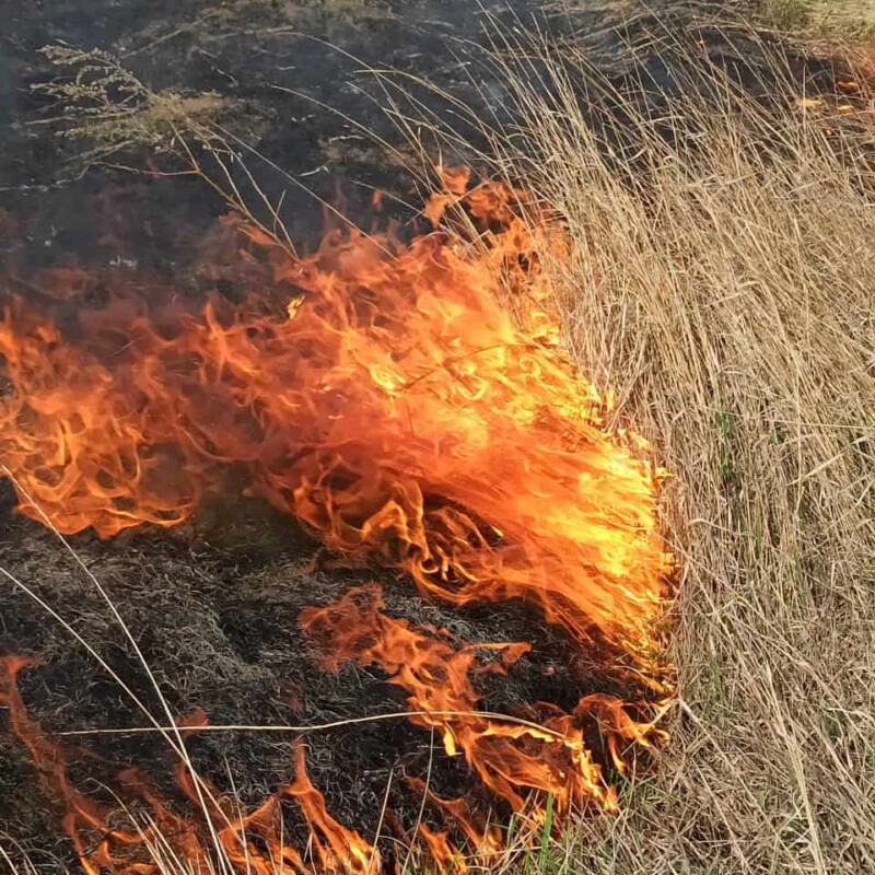 На Тернопільщині спіймали чоловіка, який спалював суху траву. Як його покарали